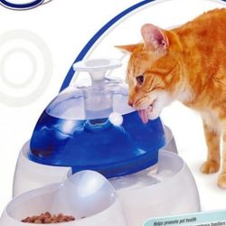 Water fountain food dish for dog or cat 