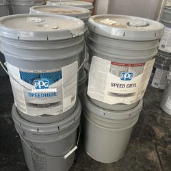 New Paint , 50 $ Each 