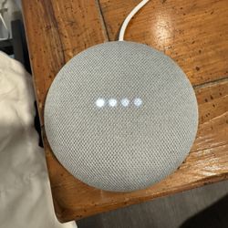 Google Nest Speaker