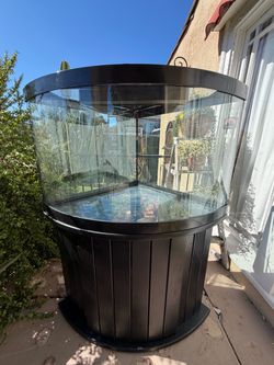 Fish tank aquarium