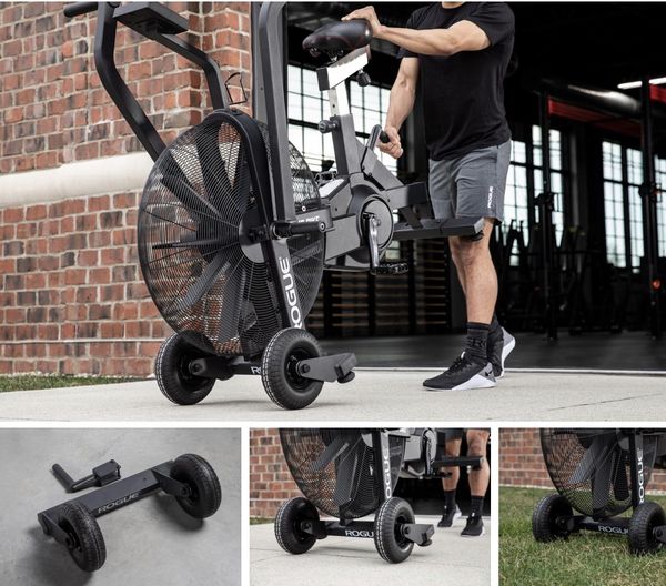 rogue echo bike sale