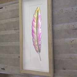 Framed Rainbow Colored Feather Picture 