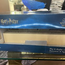 Harry Potter Display Case