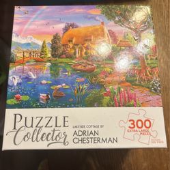 Assorted Puzzles 