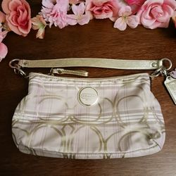 Coach Bag 7