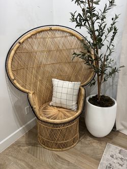 Peacock Chair