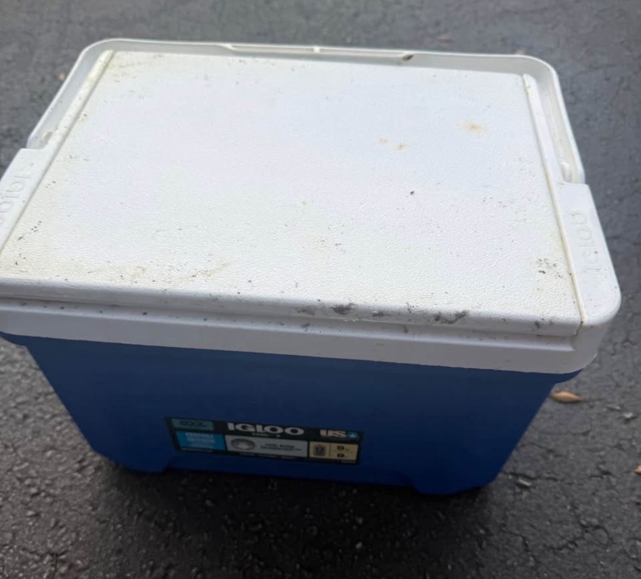 IGLOO LEGEND 12 ~ Blue/White ~ Cooler ~ Ice Chest ~ 9.63 Quart