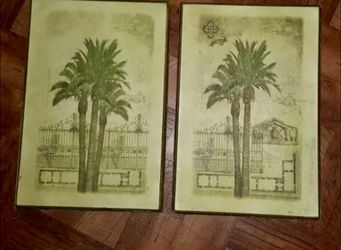 Palm tree pictures