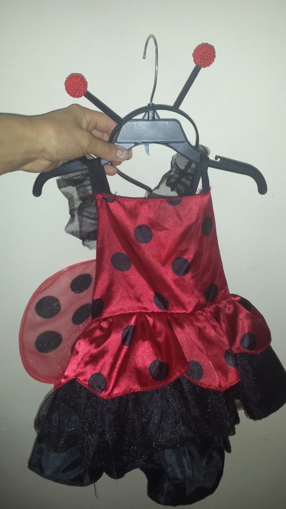 Cute lady bug costume for baby 6m -2 years