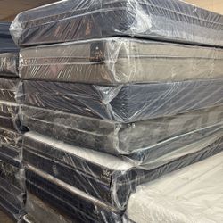 New All Sizes Nuevo Todos Los Tamaños 