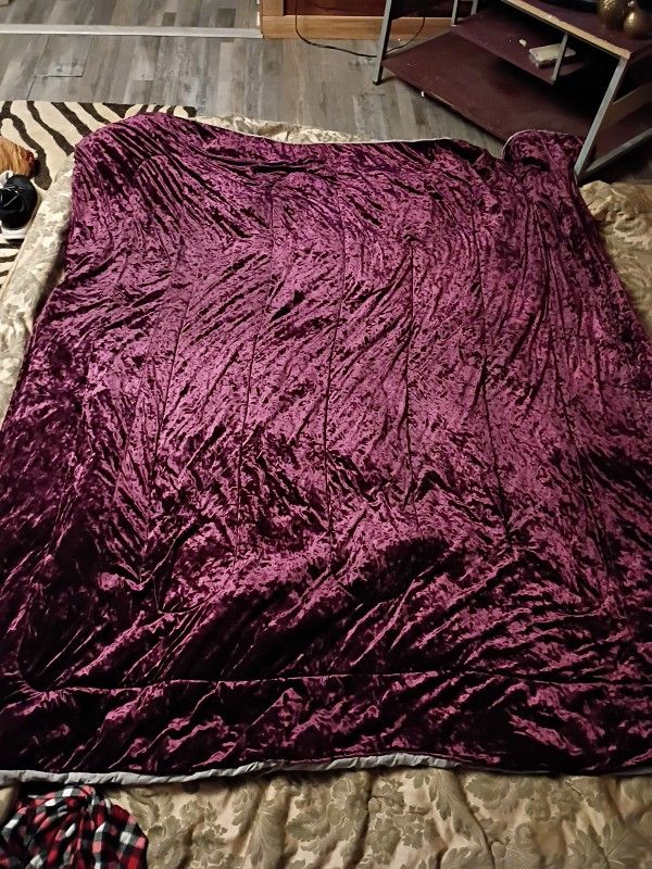 Queen Comforter And Decorative Pillow