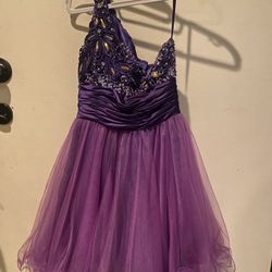 Halloween Purple Dress  Size Small 
