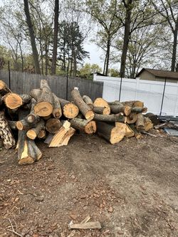 Free Firewood Long Log 10 Yard Free Delivery
