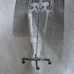 Skeleton (educational/decoration)