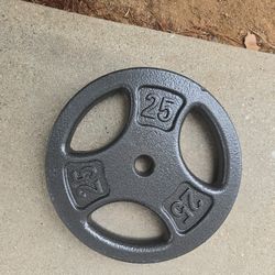 25 Pound Lb Weight