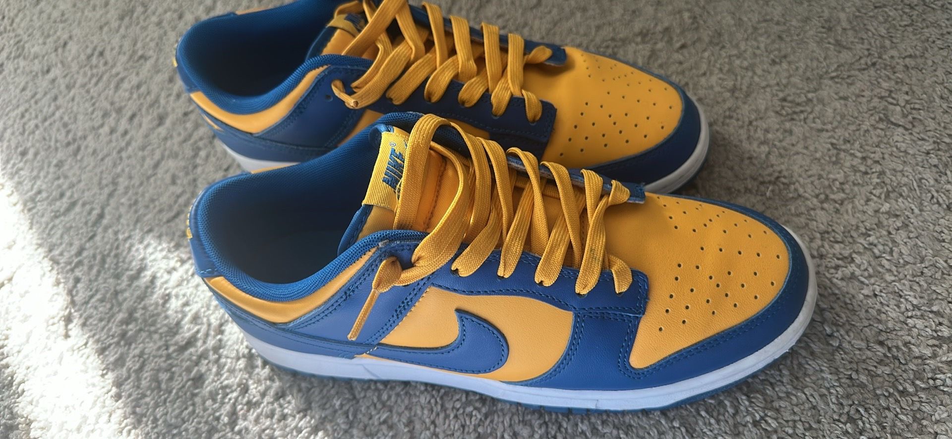 Dunks Men’s 9 For Sale $60