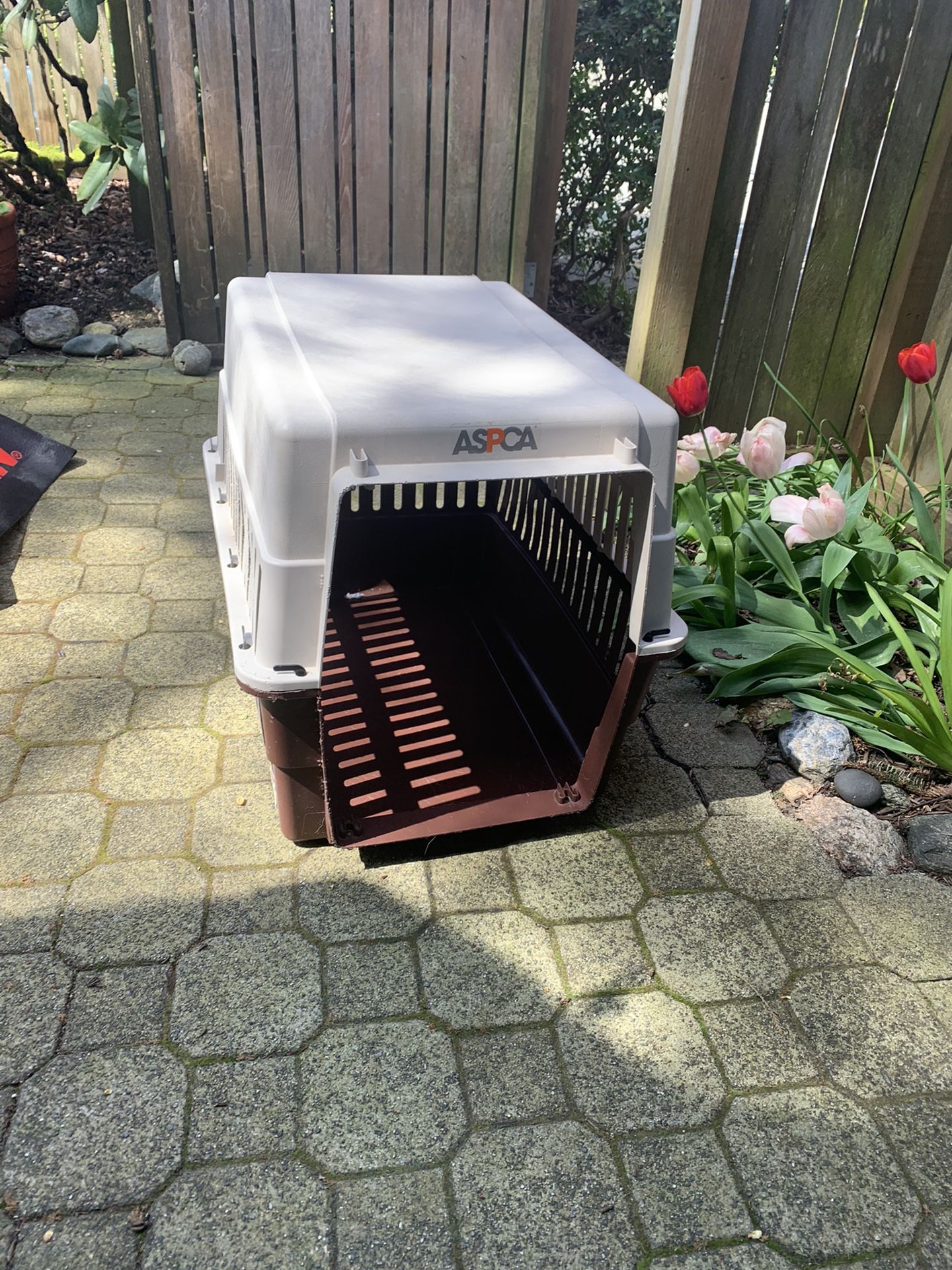 XL Dog Crate With No Locking Front Gate