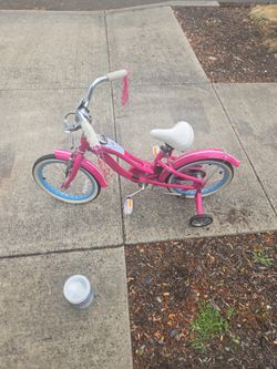 Schwinn Bike