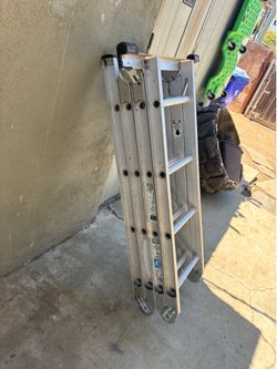 Folding ladder