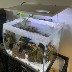 15 Gallon Fluval flex Tank