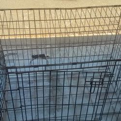 Dog Cage 