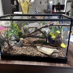 Reptile Snake Enclosure 