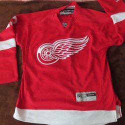 NHL DETROIT RED WINGS ICE HOCKEY REEBOK small adult 2009 PAVEL DATSYUK