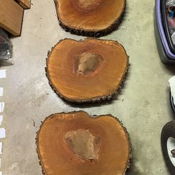  Bradford Pear Wood Live Edge Slice Cookie