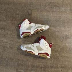 Jordan 6 Alternate 