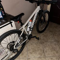 Specialized Mountain Bike
