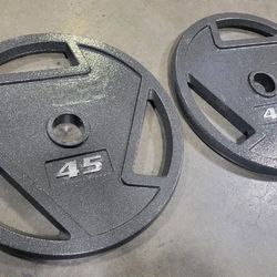 Set (two (2) Plates) Of 45 Pounds / bls Fitness Cast Iron Plate Weight Plate