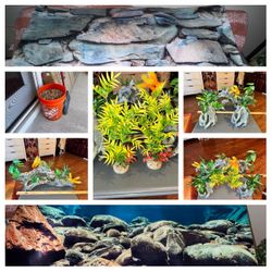 $40- GREAT PURCHASE complete Setup for 50+ Gallon fish talk