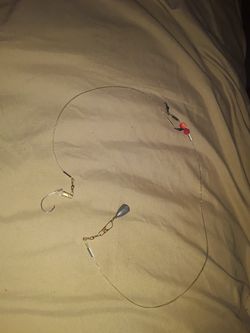 Fishing liter