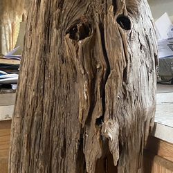 Priceless Drift Wood