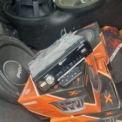 Prv 8mr600x 8 Inch Prv Midrange. Very Loud And Crisp