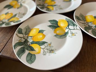 New dinner plates 4 pieces