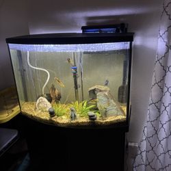 35 Gallon Fish Tank And Stand 