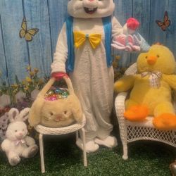Easter Bunny Costume 
