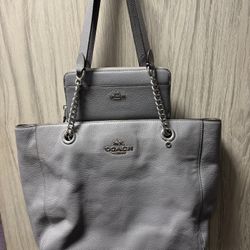 Gray Coach Purse And Matching Wallet