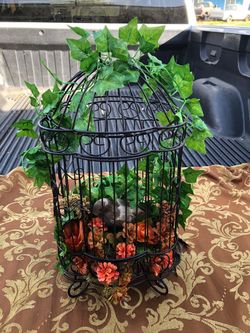 Bird cage