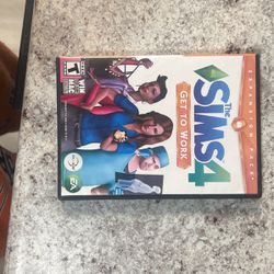 Sims 4 Get To Work Disc
