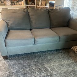 FREE Living Spaces Sleeper Sofa
