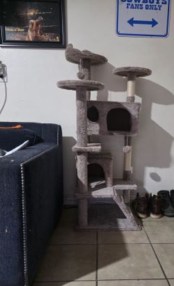 Cat House