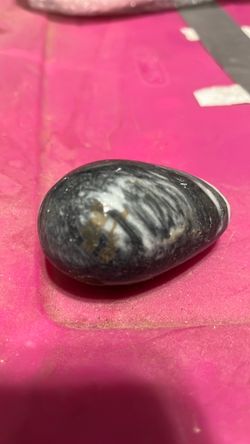 Vintage egg