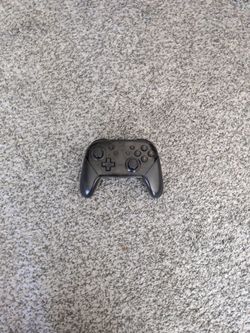 Nintendo pro controller