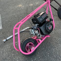 Full Mini Bike Has A Seat And A New Volts Pipe  A1 Start First Pull And Everything New And Has Soild Pegs 