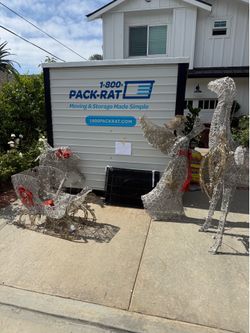 Free amazing Christmas decorations and cat or bird crate