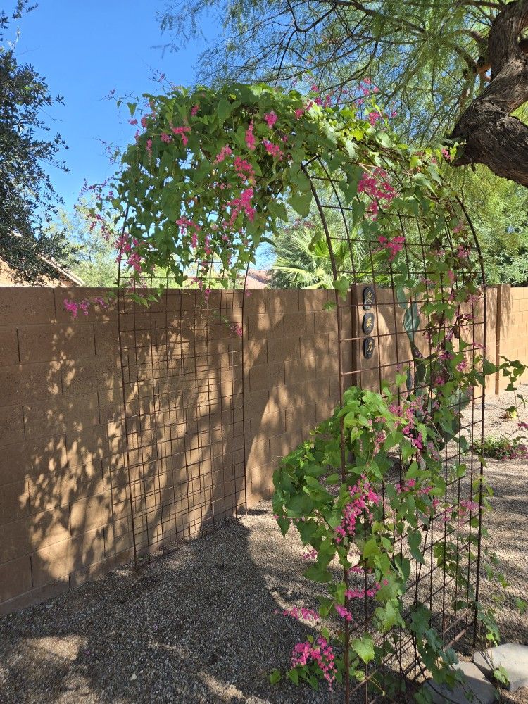 Large .metal Arbor