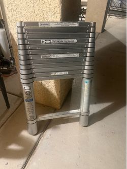 Rv trailer ladder