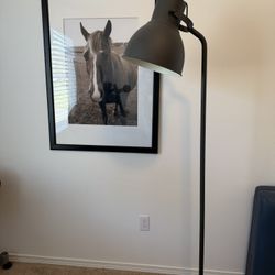 IKEA Floor Lamp